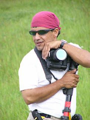 عادت به فراموشي تو نخواهم كرد!