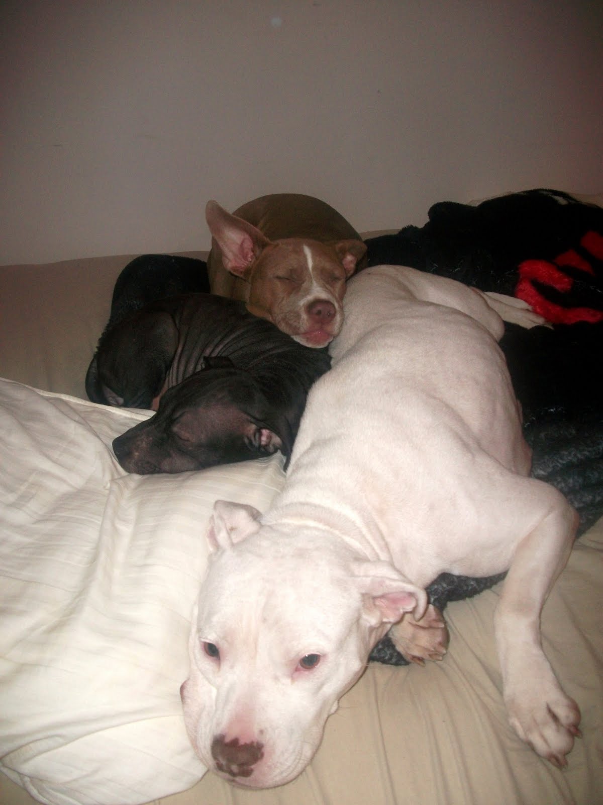 [pits+at+play+029.JPG]