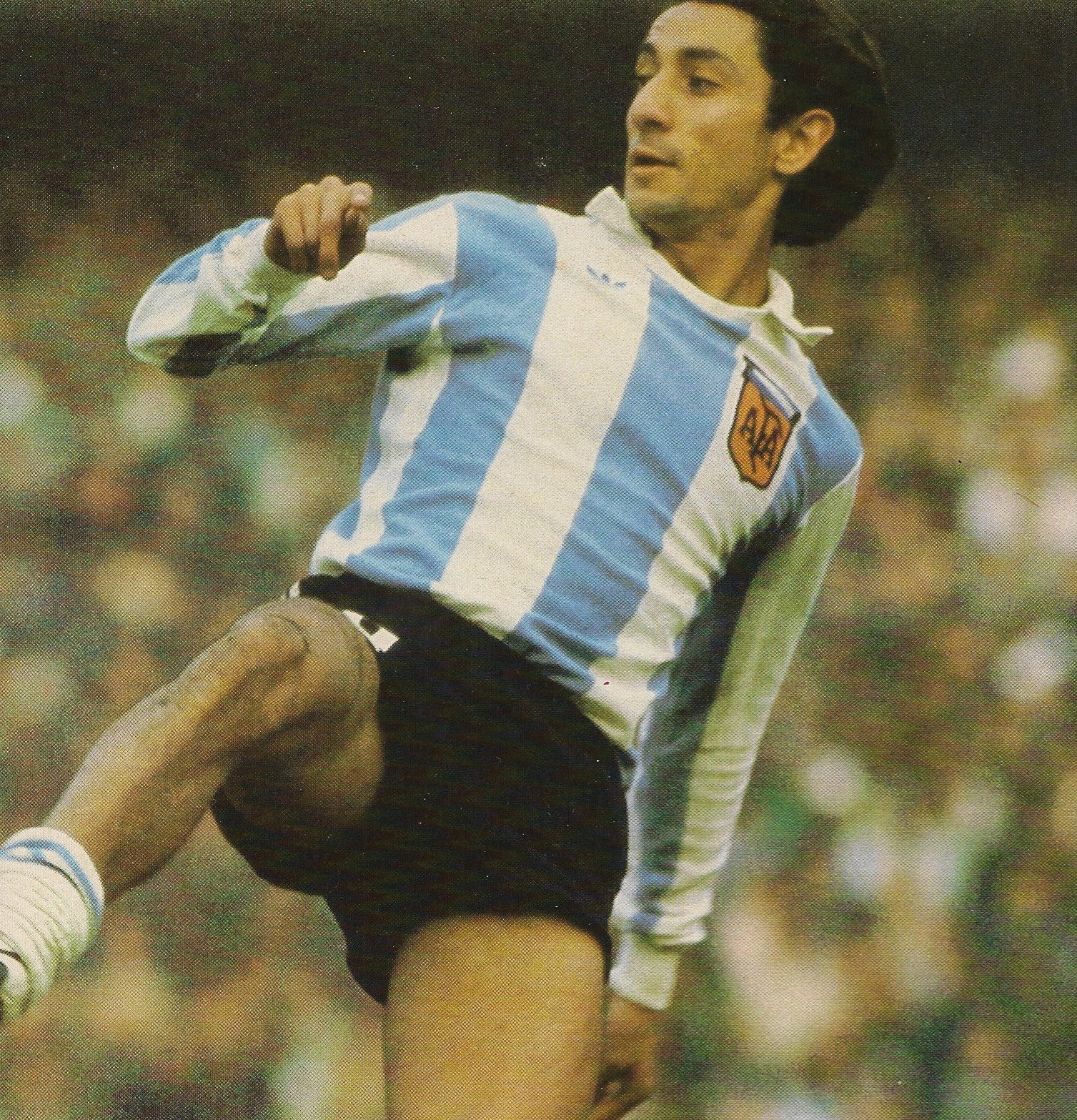 Ardiles Ardiles