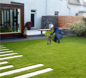 Mundo de las Flores: Jardinería (Como crear el Césped perfecto)