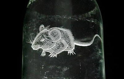 Wonderful+Milk+Bottle+Art+2.jpg