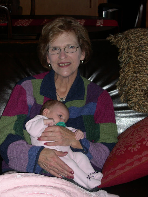 Grandmommy LiNelle's visit to the Windy and Cold City