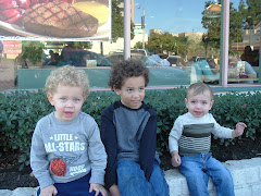 My 3 grandsons