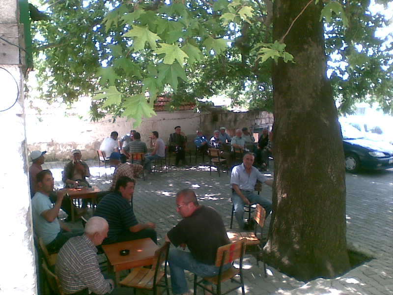Köyün çınarlı kahvesi