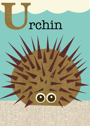 [urchin_K&Cotrassh.jpg]