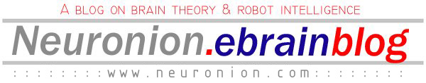Neuronion Blog: Brain theory, eBrain architecture & robot intelligence