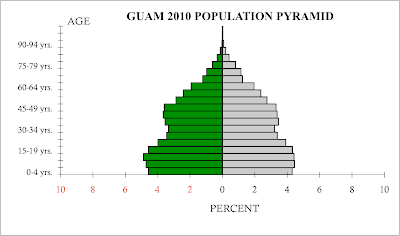The Collection of a Map Apprentice: 3. Population Pyramid