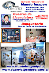 Cuadro de Licenciatura