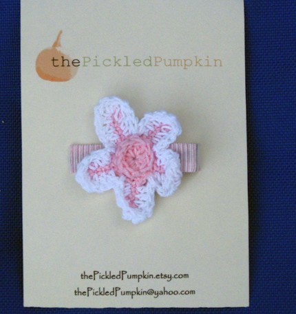[flower+barret+pickled+pumpkin.jpg]