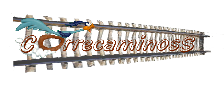 Prueba Correcaminoss