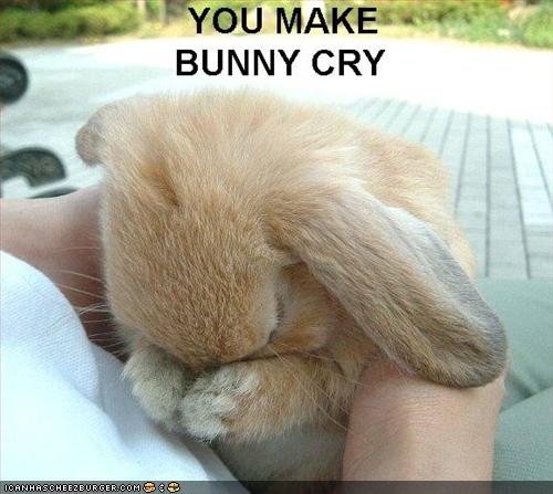 funny-pictures-bunny-is-sad.jpg