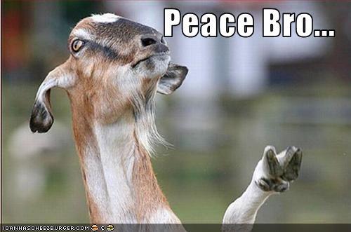 funny-pictures-goat-gives-peace-sign_max600.jpg