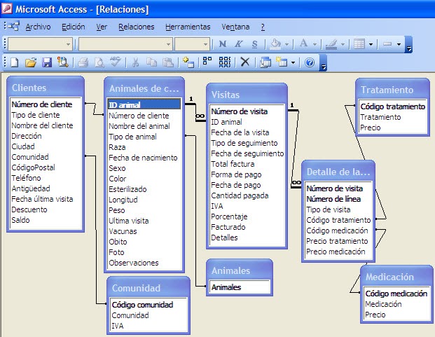 Access сайт. Access. МС аксесс. Microsoft access база данных. Программа MS access.