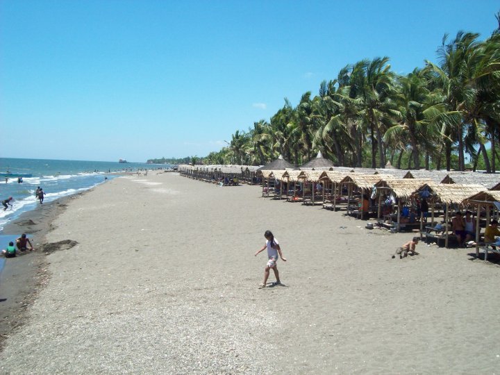 Lover Mushroom Naic Aroma Beach Resort Rates Aroma Beach Resort In Naic And Like The First Time It Was Fun We Always Look Forward Going To This Place With My Family Relatives