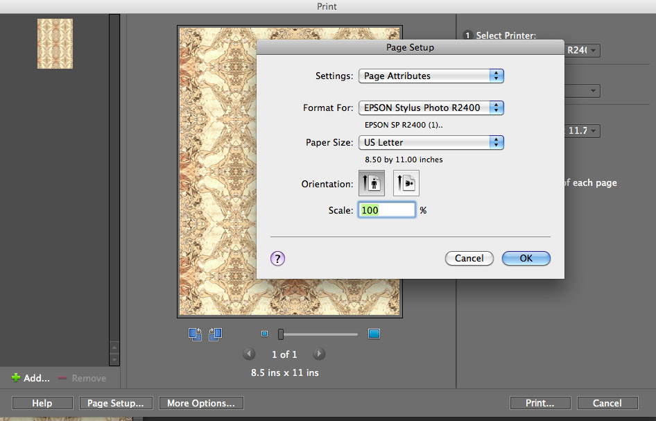 Inside KathyAnne Art Printer Profiles Elements 8