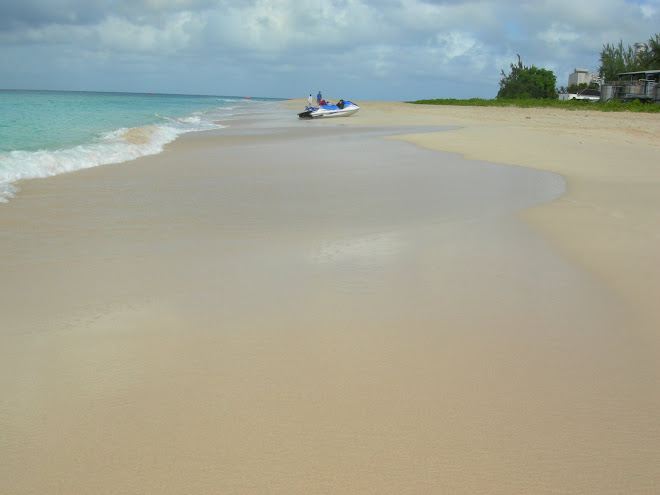 The beach at Barbados