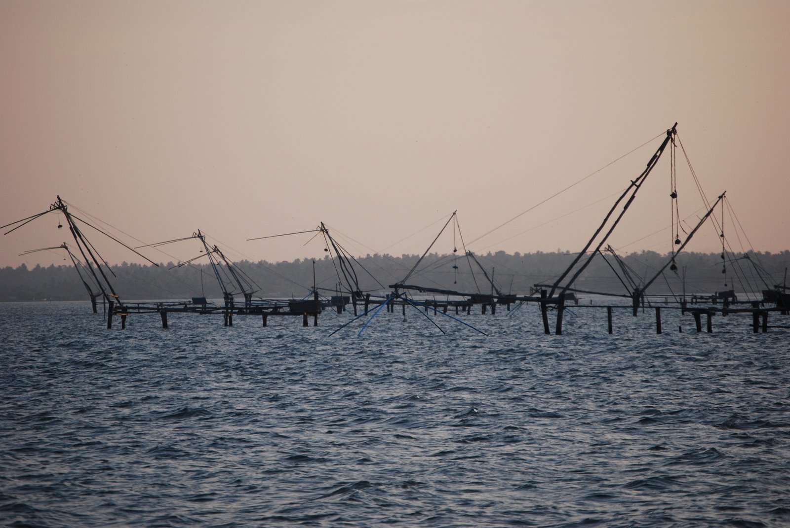 [DSC_0031.JPG]