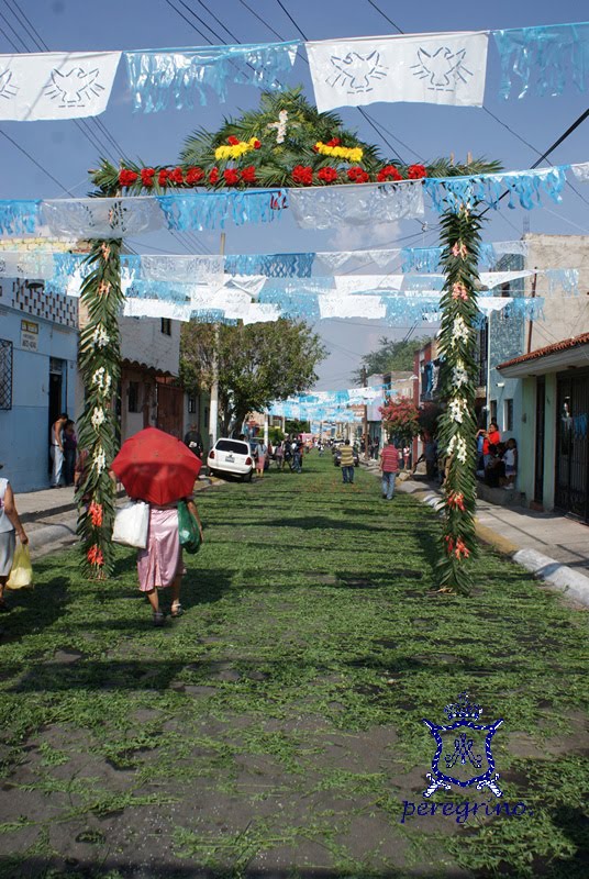 Peregrinozapopano VISITA A LA PARROQUIA CRISTO RESUCITADO, Col. la