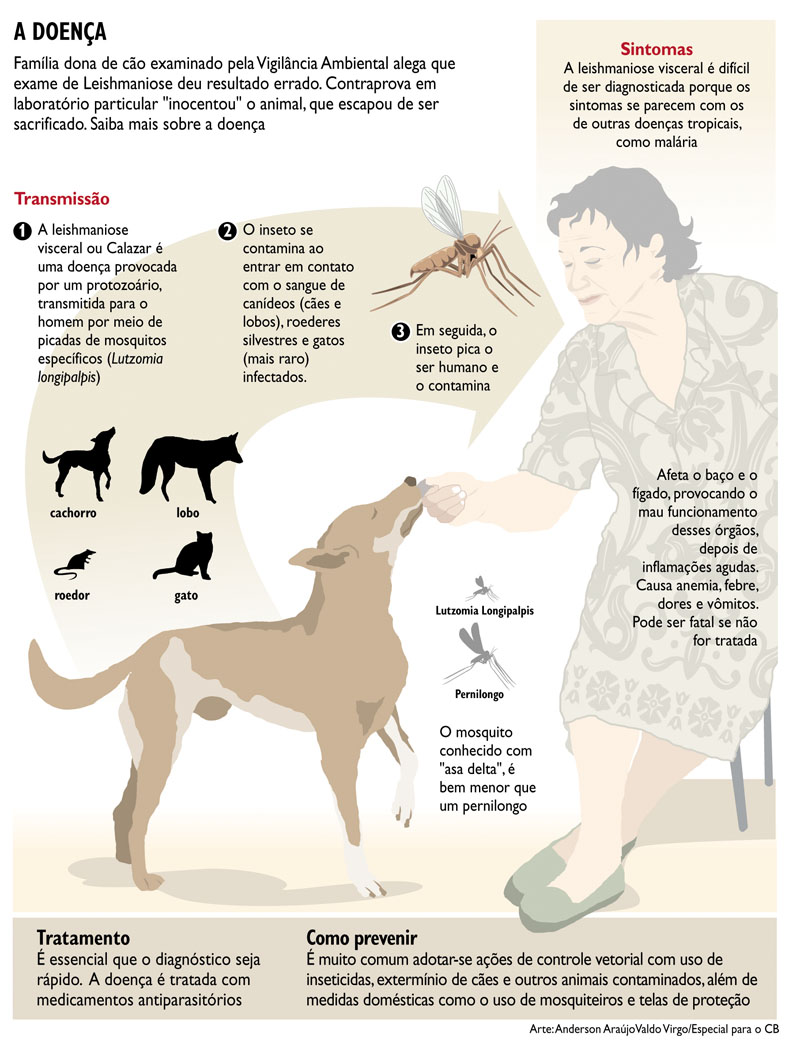Blog Professor Robson INFOGRÁFICO LEISHMANIOSE VISCERAL