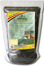 GusanoTM Root Regulator