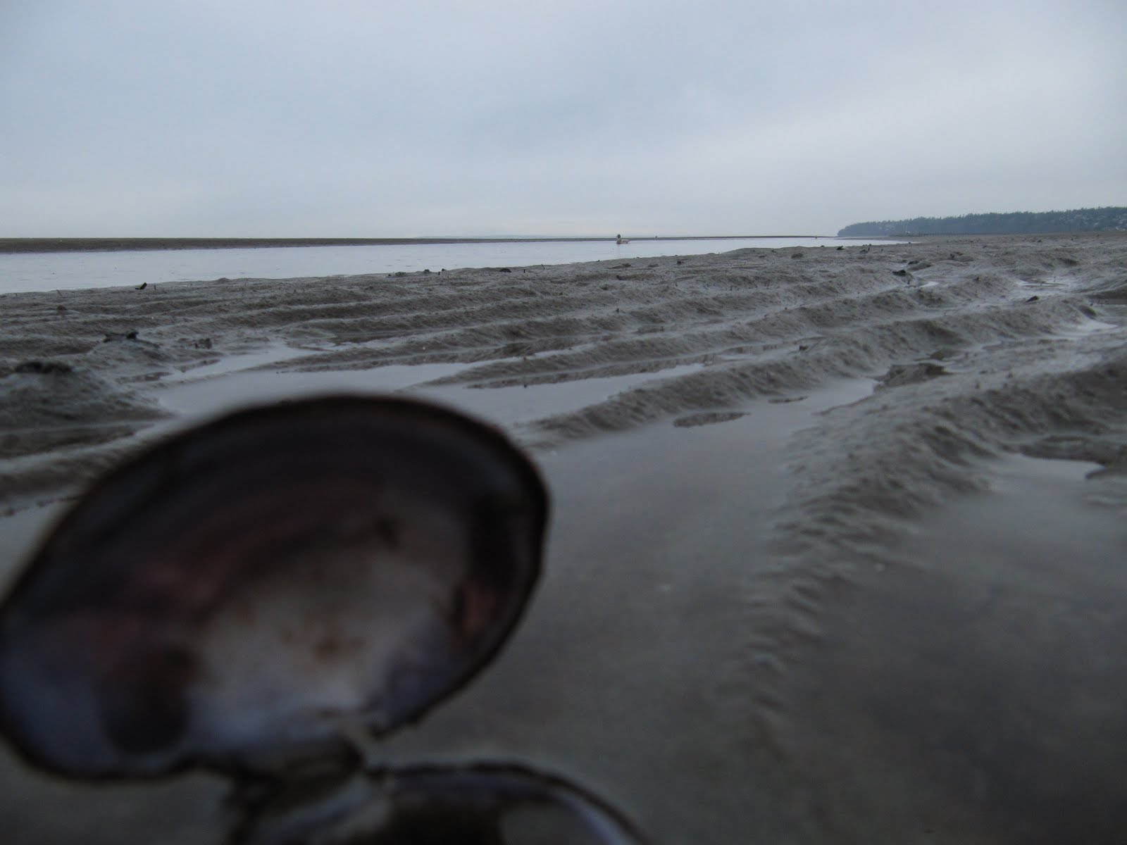 [IMG_1471.JPG]