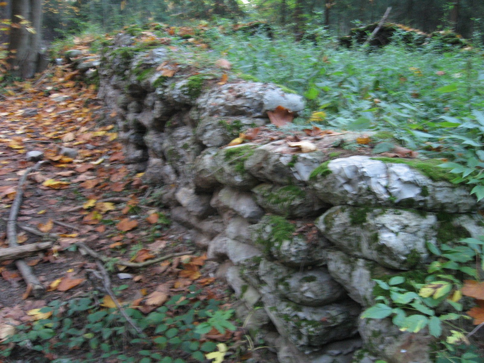 [IMG_0345.JPG]