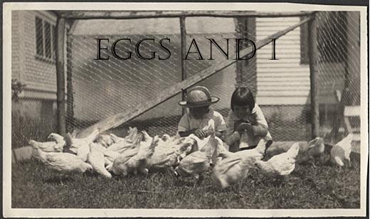 Eggs and I