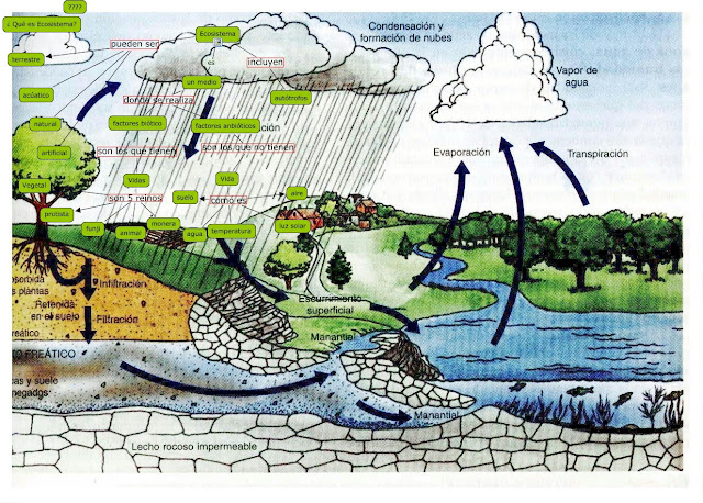 El Ecosistema La Ecolog a y el - Ecosistema.cmap 