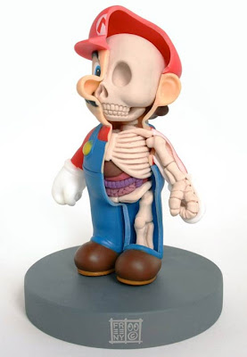 Imagen de estudiando anatomía con Mario