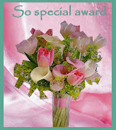 So Special Award