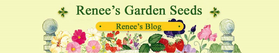 Renee's Garden Seeds: Renee's Blog
