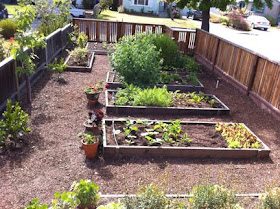 Renee's Garden Seeds: Renee's Blog: Creating My Edible Front Yard