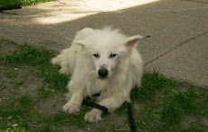 Fred