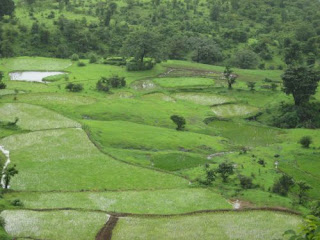 Kailasgad Fort