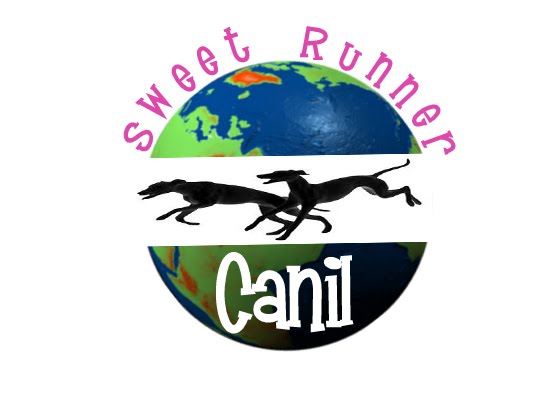 Canil Sweet Runner