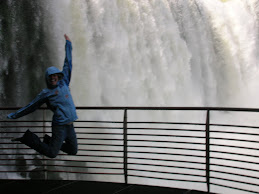 Brasilian side of the Falls