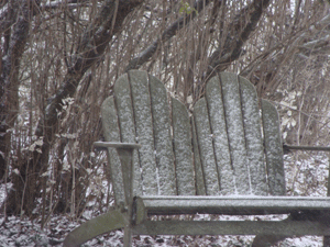 my garden bench in the snow