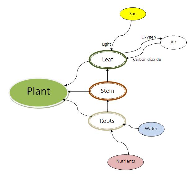 PS 0270 ICT in Maths & Science: Week14 - Plants