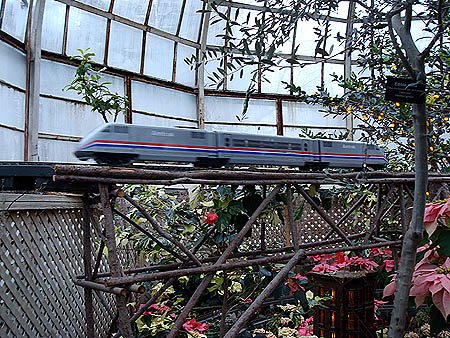 [Lincoln+Park+Conservatory+Flower+and+Train+Show9.jpg]