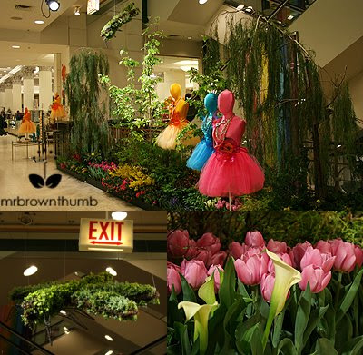 Macy's on State Street Flower Show: Dream in Color