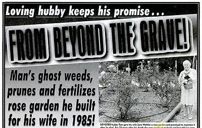 [Ghost+fertilizes+rose+garden.png]