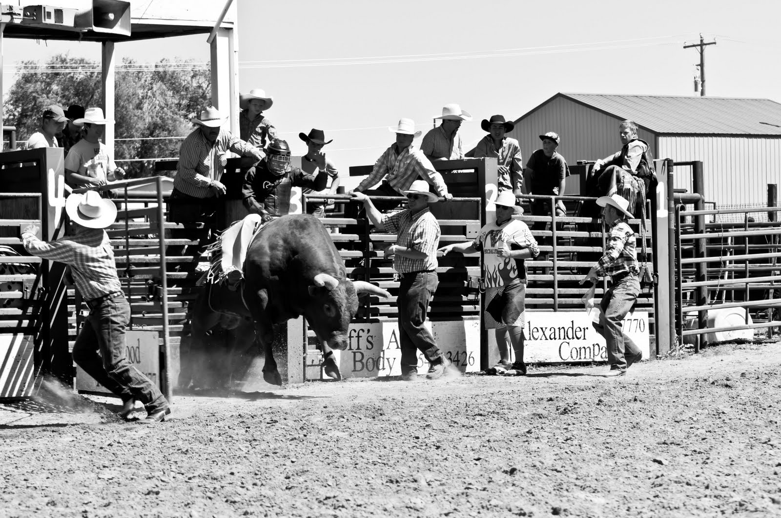 Bradens Adventure and Photo