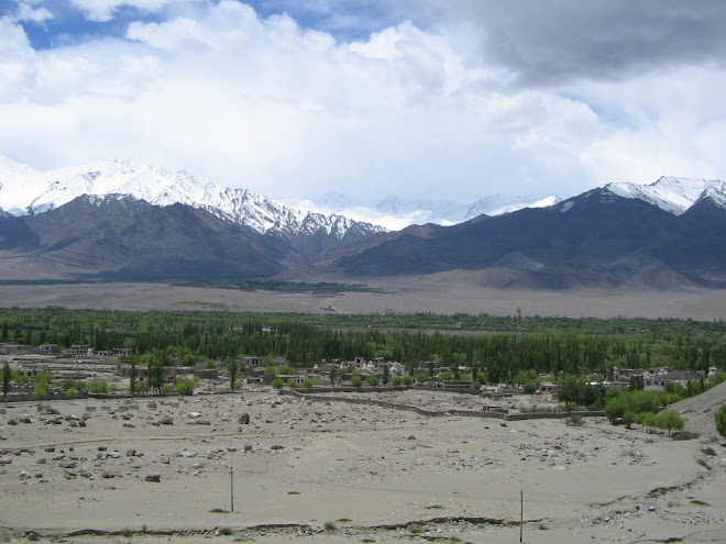 mountains of mustang
