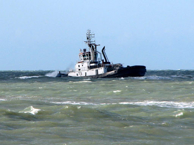 Piero Neri tugboat, IMO 9351713, Livorno