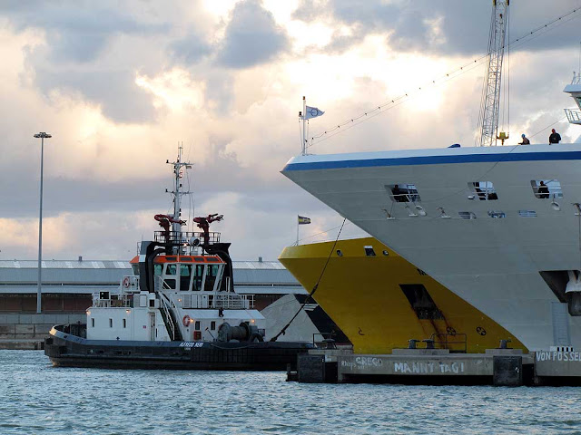Alfredo Neri tugboat, Livorno