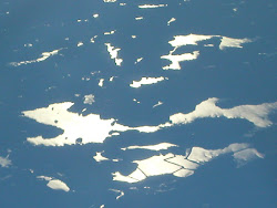 Dunlop Lake from the air