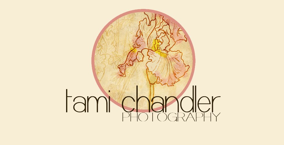 Tami Chandler Photography