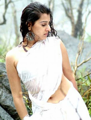 Telugu Actress Veda Archana in wet Transparent saree
