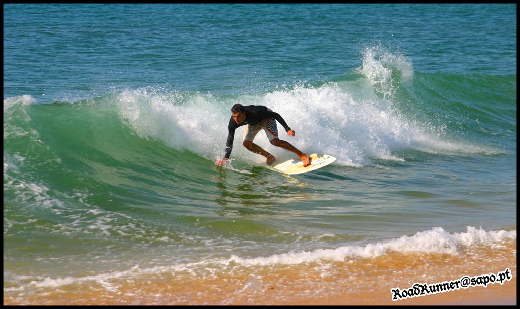 [IMG_0981.jpg]