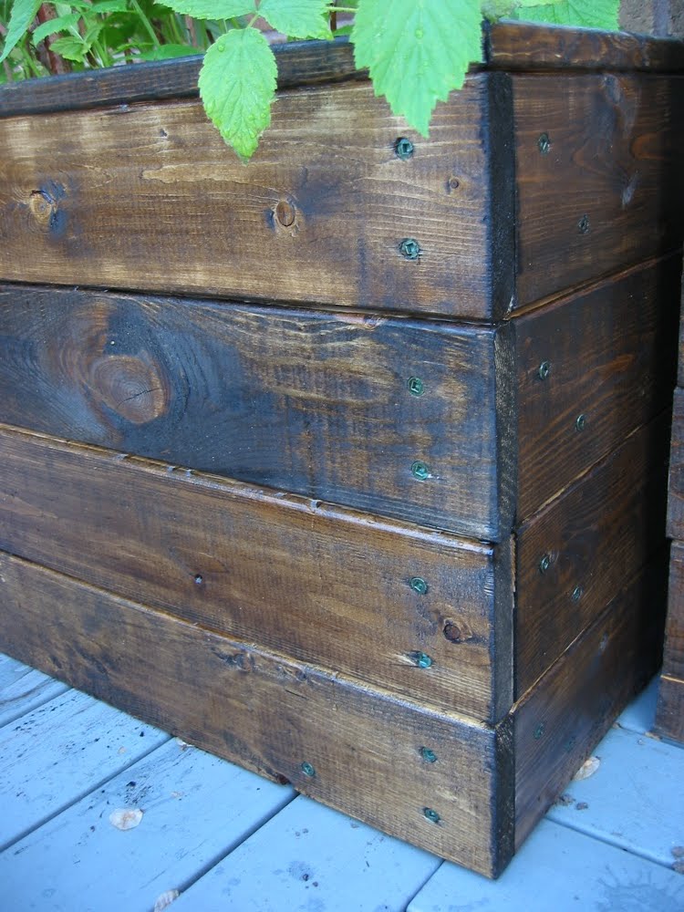 Urban Planter Boxes Yummy Raspberries